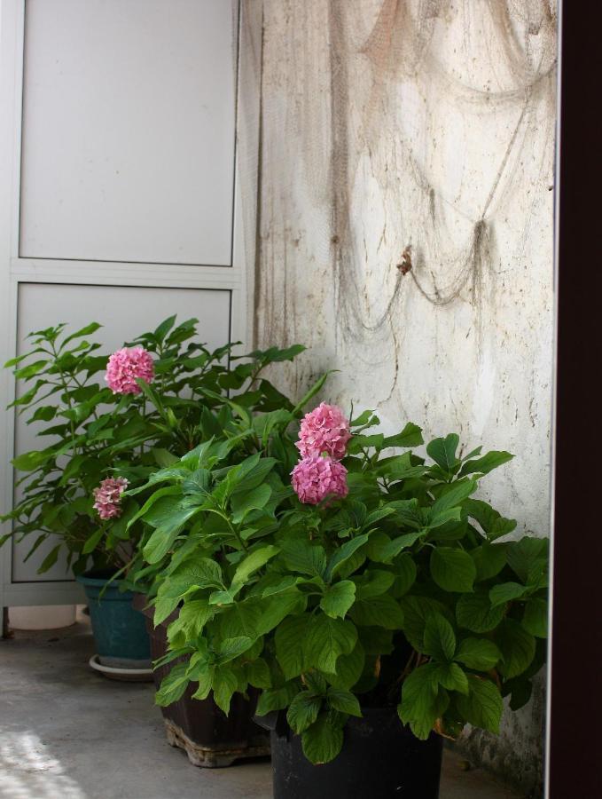 Rooms & Apartments Dolac 赫瓦尔 外观 照片